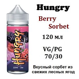 Жидкость Hungry - Berry Sorbet 100мл