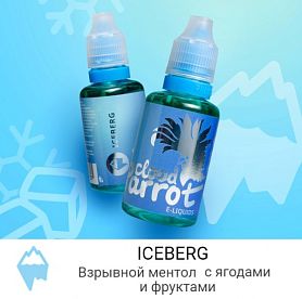 Жидкость Cloud Parrot - Iceberg 30 мл