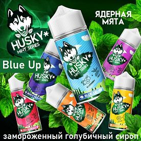 Жидкость Husky Mint Series - Blue Up (100мл)