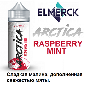 Жидкость Arctica - Raspberry Mint (120мл)