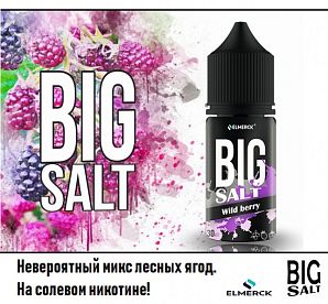 Жидкость Big SALT - Wild Berry 30мл