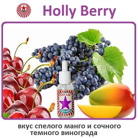 Жидкость Star Lab - Holly Berry 30 мл