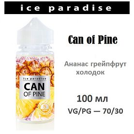 Жидкость Ice Paradise Can of Pine 100 мл