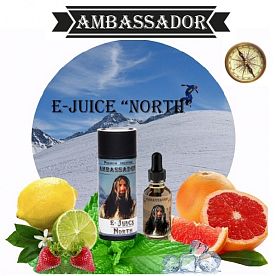 Ambassador Premium NORTH 30мл 3мг купить в Москве, Vape, Вейп, Электронные сигареты, Жидкости