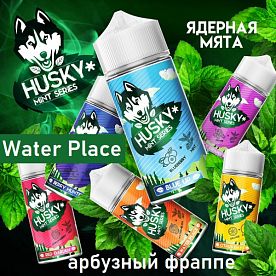 Жидкость Husky Mint Series - Water Place  (100мл)