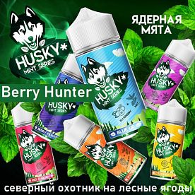 Жидкость Husky Mint Series - Berry Hunter (100мл)
