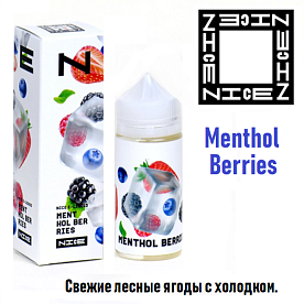 Жидкость NICE - Menthol Berries 100 мл