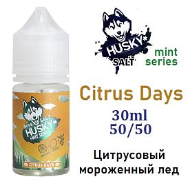 Husky Mint Series SALT - Citrus Days 30мл