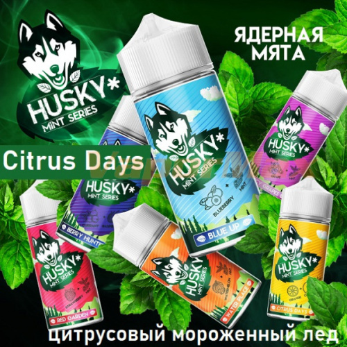 Жидкость Husky Mint Series - Citrus Days (100мл)