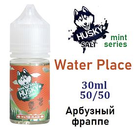 Husky Mint Series SALT - Water Place 30мл