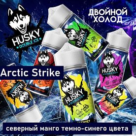 Жидкость Husky Double Ice - Arctic Strike (100мл)