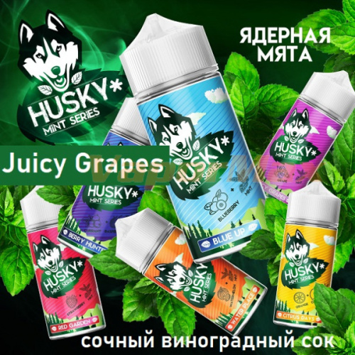 Жидкость Husky Mint Series - Juicy Grapes (100мл)